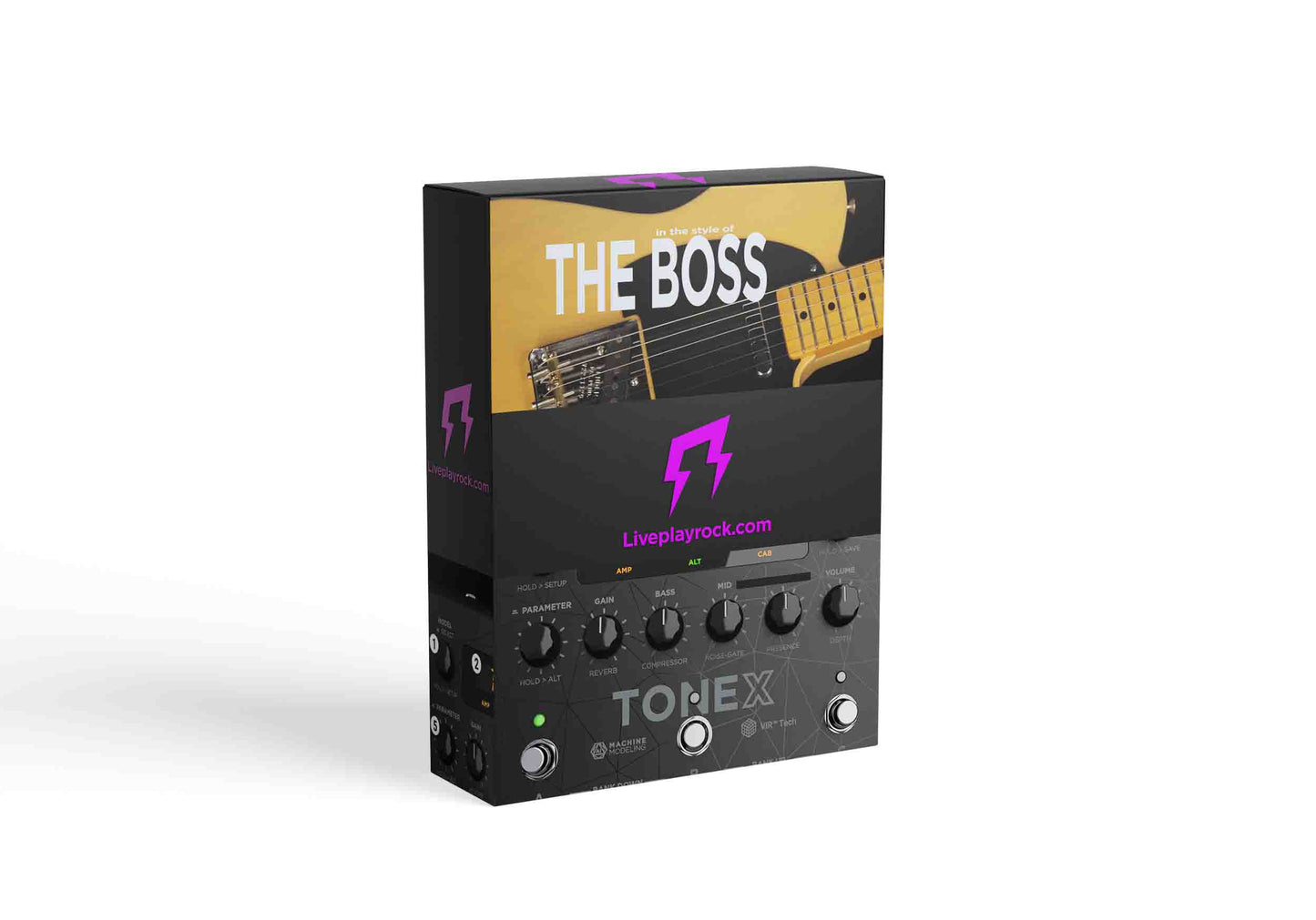 Bruce Springsteen style ToneX presets